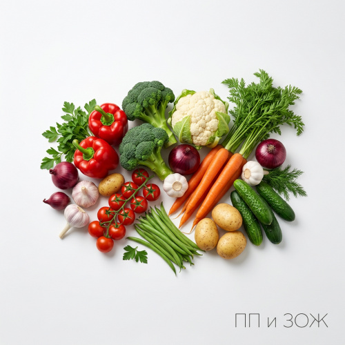 Овощи Овощи