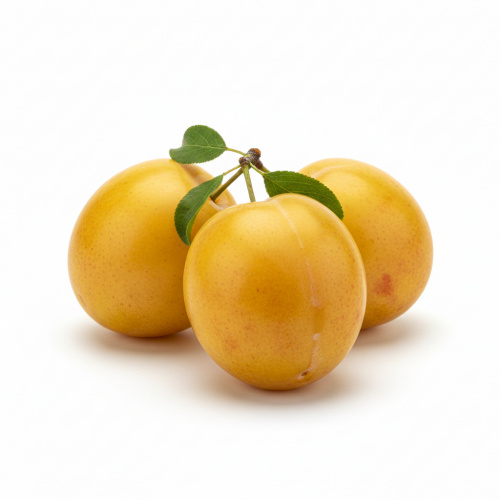 Слива желтая