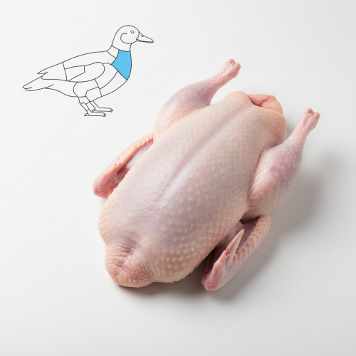 Утка (мясо утиное) 